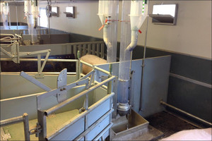Combi Feeder for sows