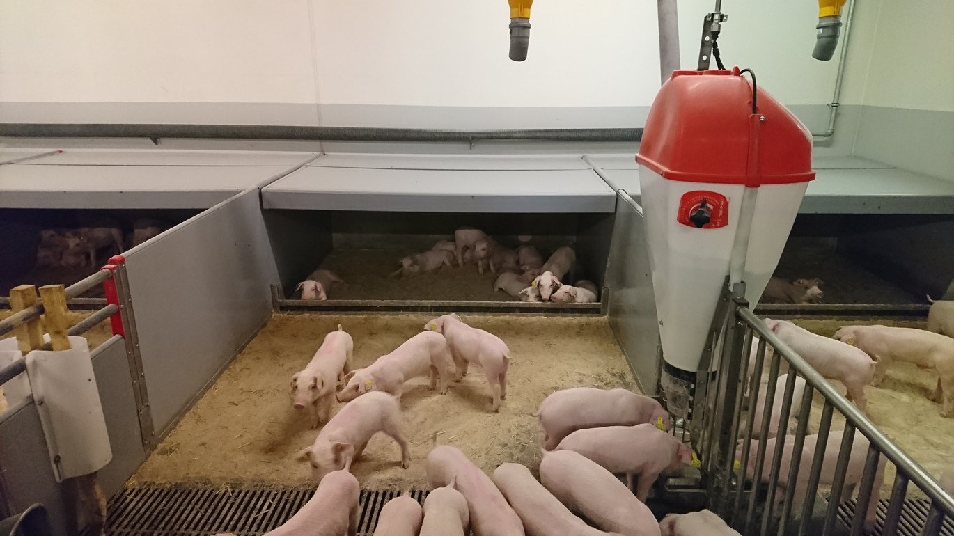 Weaner unit with TUBE-O-MAT feeders