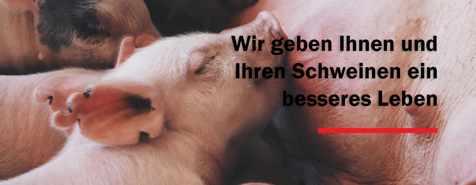 Willkommen bei ACO FUNKI