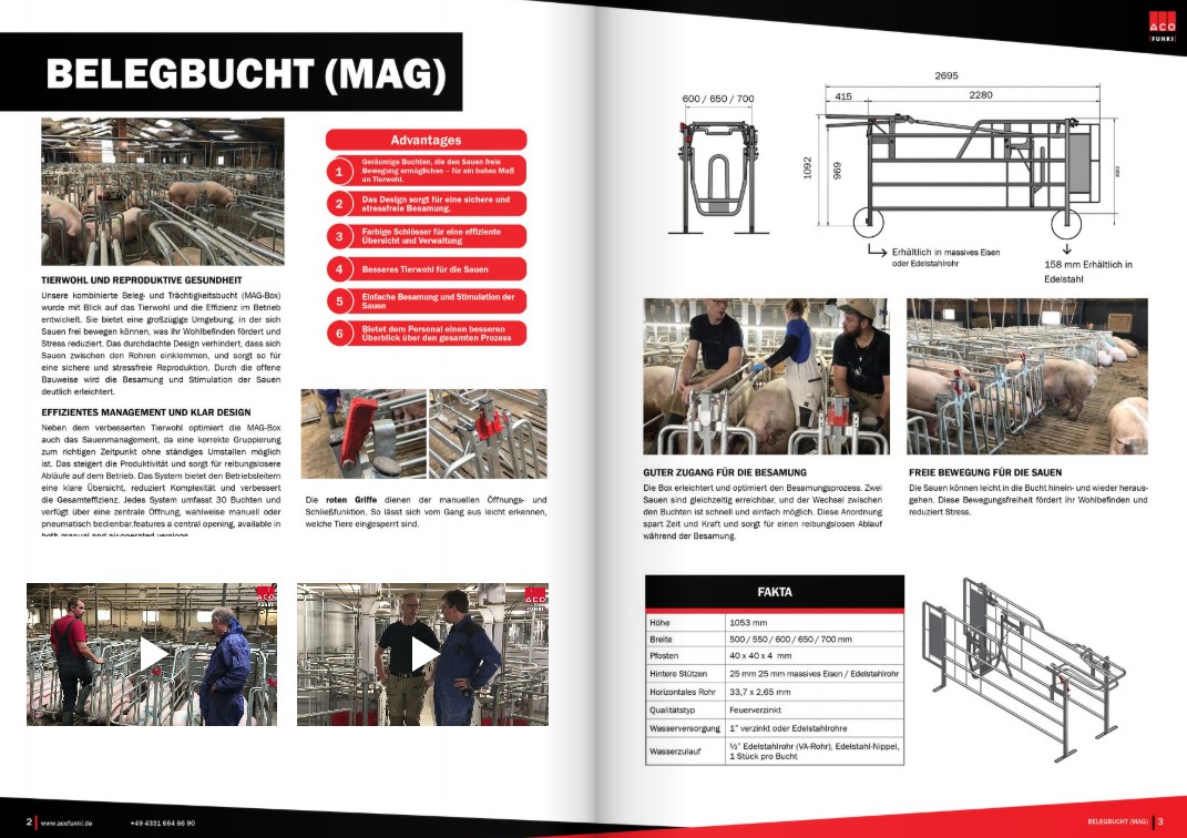 Belegestation für sauen in gruppenhaltung