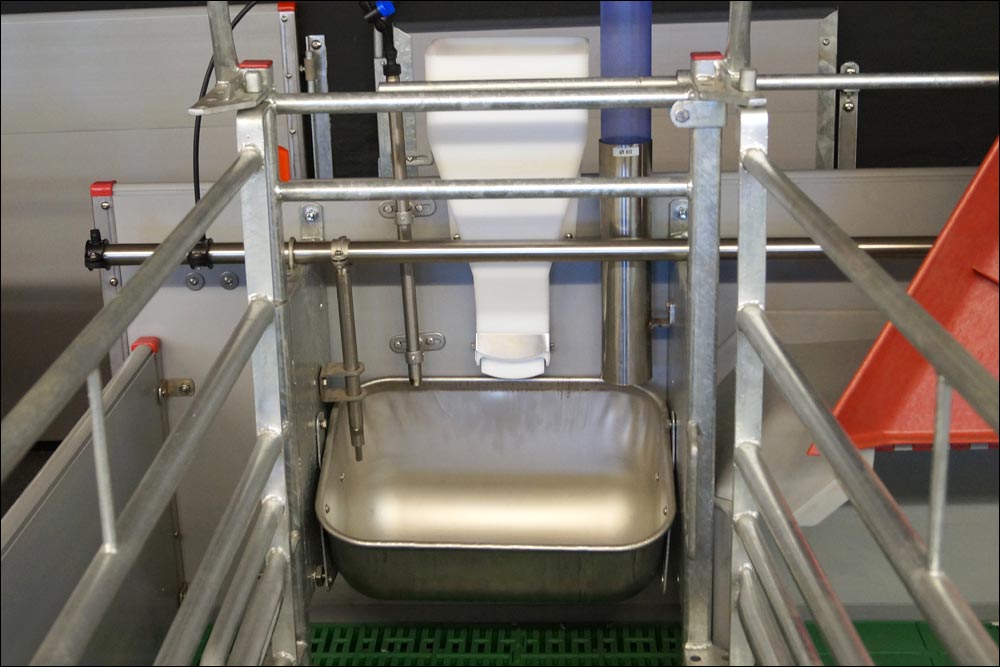 Ad Libitum Feeder für Sauen